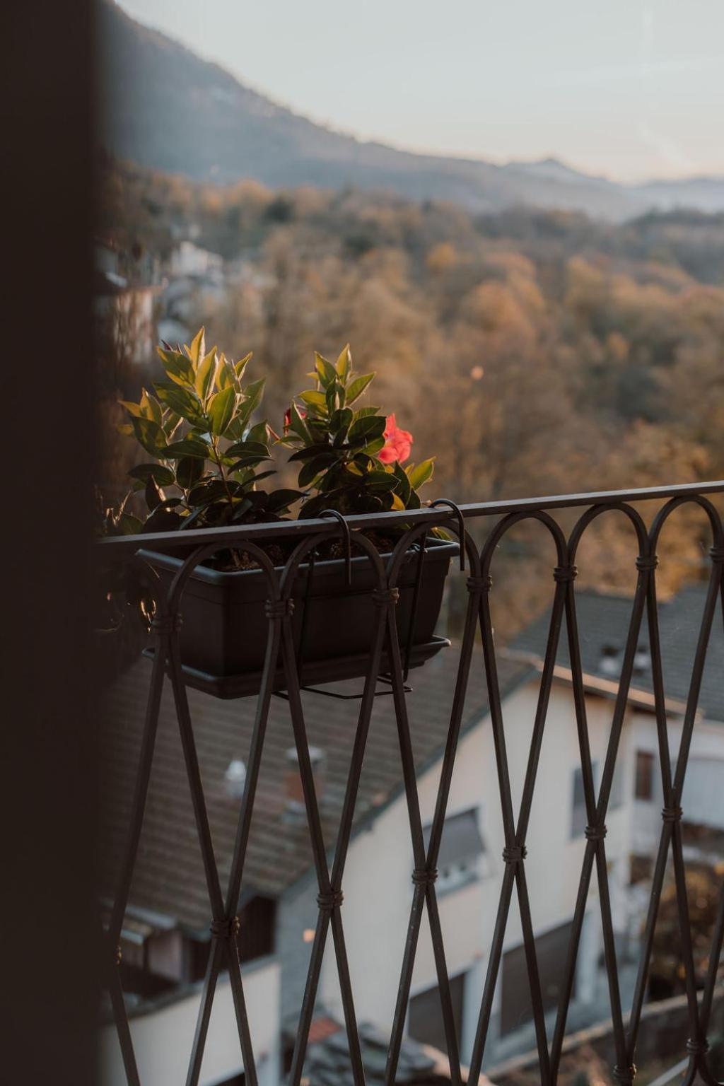Giulietta E Romeo Bed & Breakfast 2*